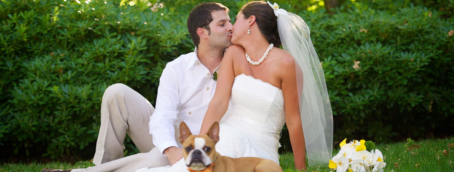 快速任务分发的ddos页端